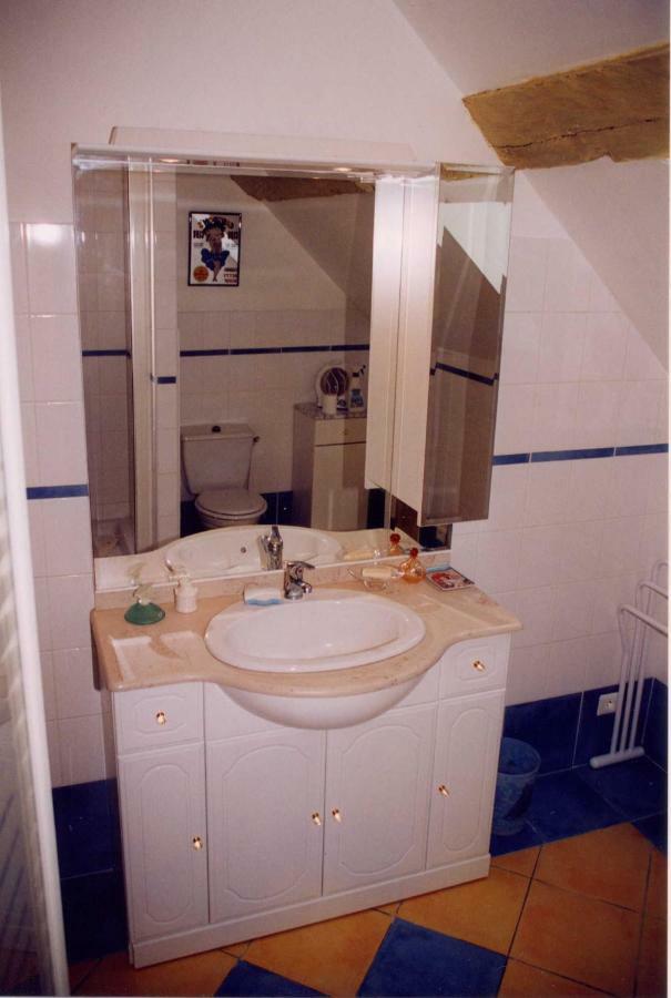 Gite Les Roseaux 123 Sologne Lassay-sur-Croisne Exterior foto
